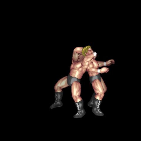 ハヤブサ風ネックブリーカードロップ / Hayabusa Neckbreaker