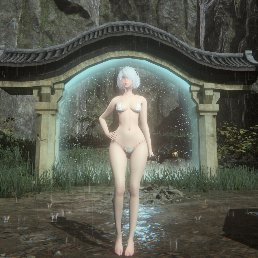 2B OR NOT 2B --- ND版