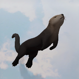 Sea Otter