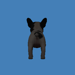 french_bulldog