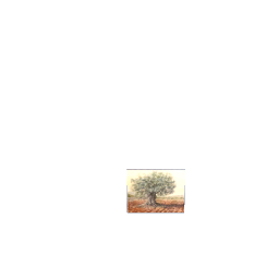 Olive Oil Tree painting
