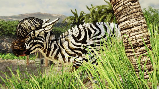 Zebra pachy [accepted]