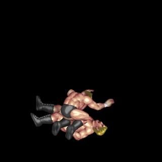 ムーンサルトニードロップ / Moonsault Knee Drop