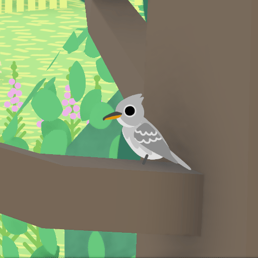 Eastern Wood-pewee