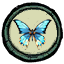 Medal For Wings
