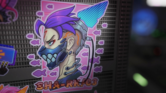 CSGO10 | //./SHA-RK/03_Sticker