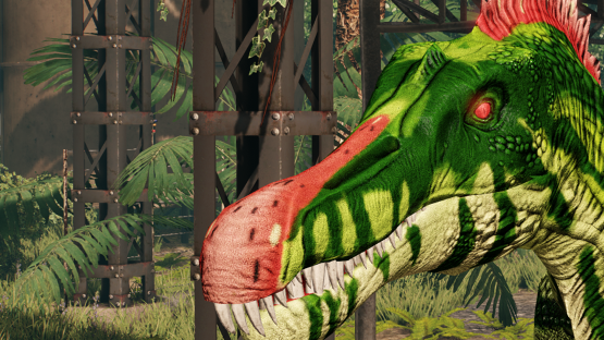 Melon Spino