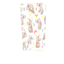 HW  DW Slider Cuddly Koala
