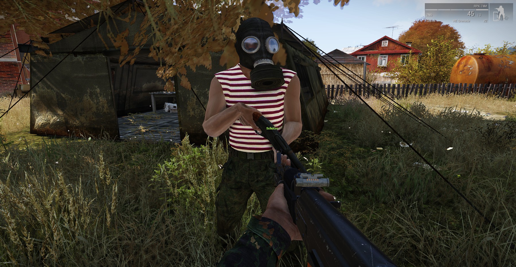 Gold of Chernarus