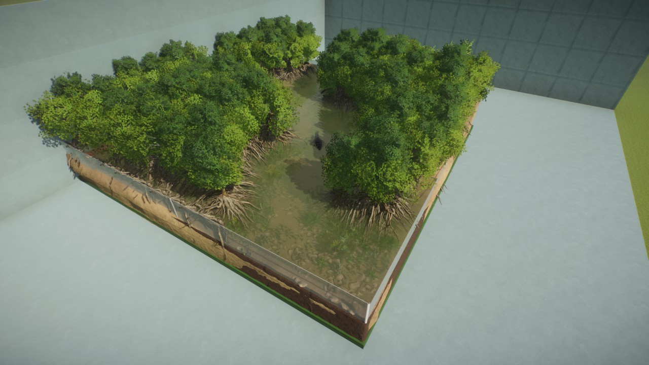 Diorama, Asian  Mangrove