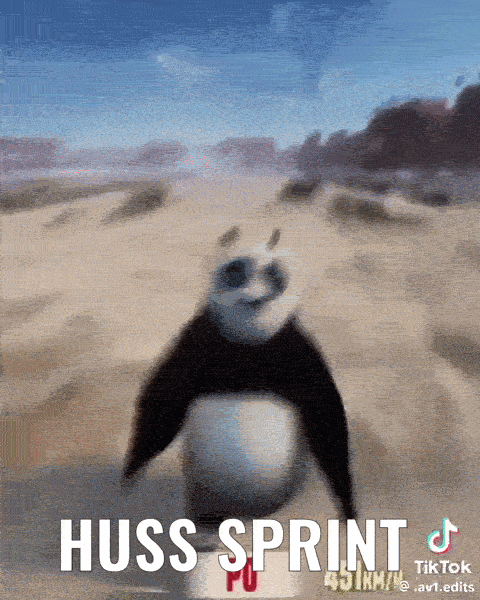 HUSS SPRINT