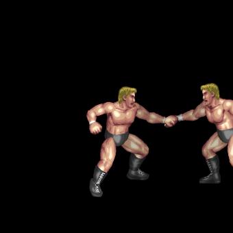 Ripcord Haymaker Lariat