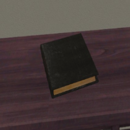 Old Book2