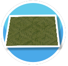 Control Investigations Carpet