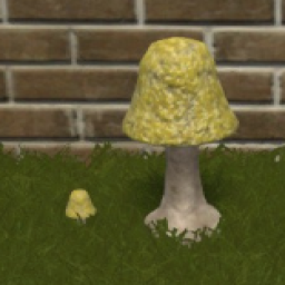 Cap Bell Mushroom (Small)