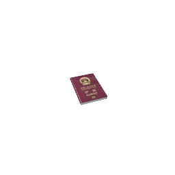 Passport- Chinese