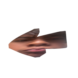 Arrow Andy!