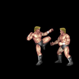 Brazilian Kick B