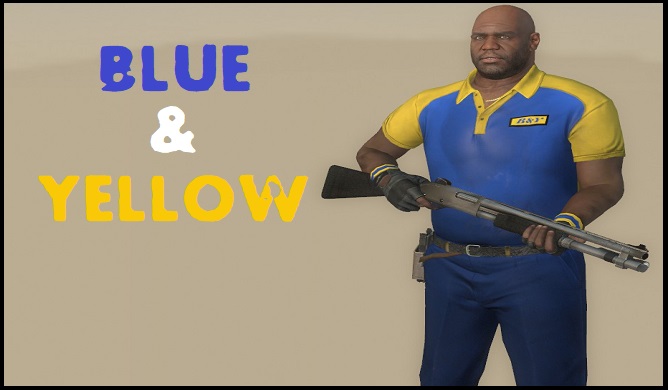 Coach Body - Blue and Yellow