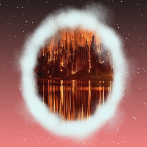 Trenton Sanford - Forest Fire preview