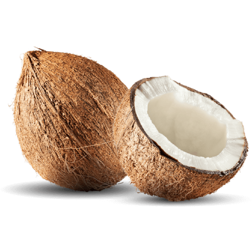 Kokosnuss