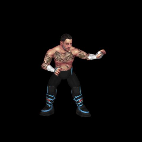 CM Punk