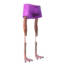 Flamingo Legs