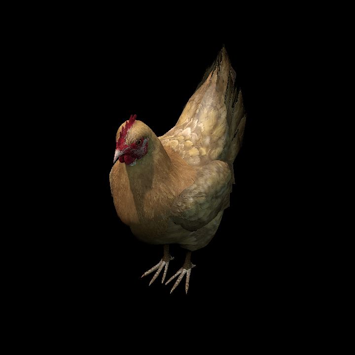 BrownHen