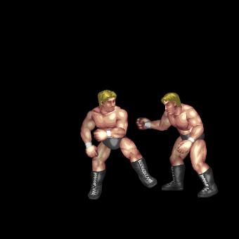 Fierce Backfist Rush