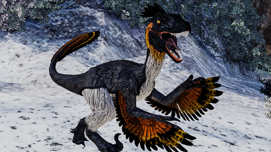 Forsteri Nova (winter 2020)