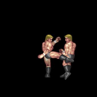 Low Kick