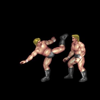 Brazilian Kick C