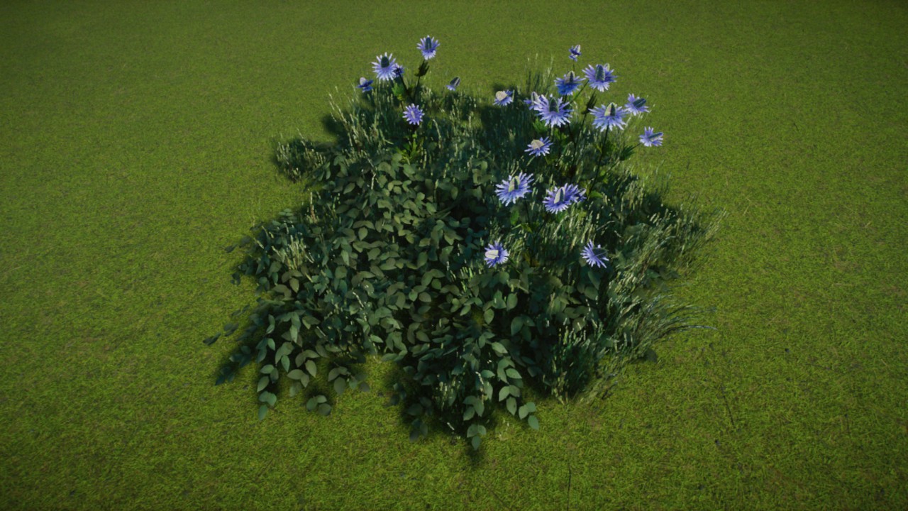 Simple Grass Coverage 04 - Grassland / Temperate