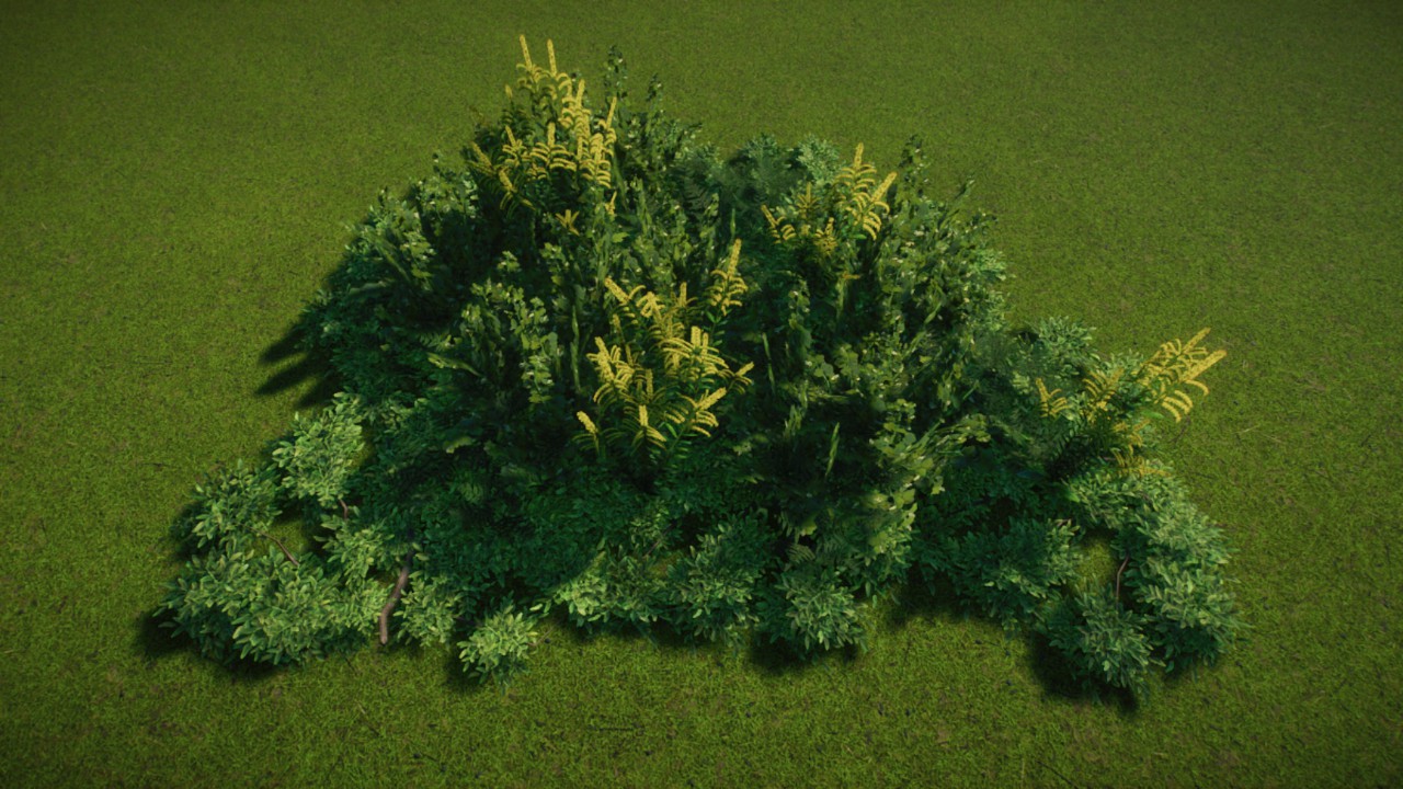 Simple Grass Coverage 07 - Grassland / Temperate
