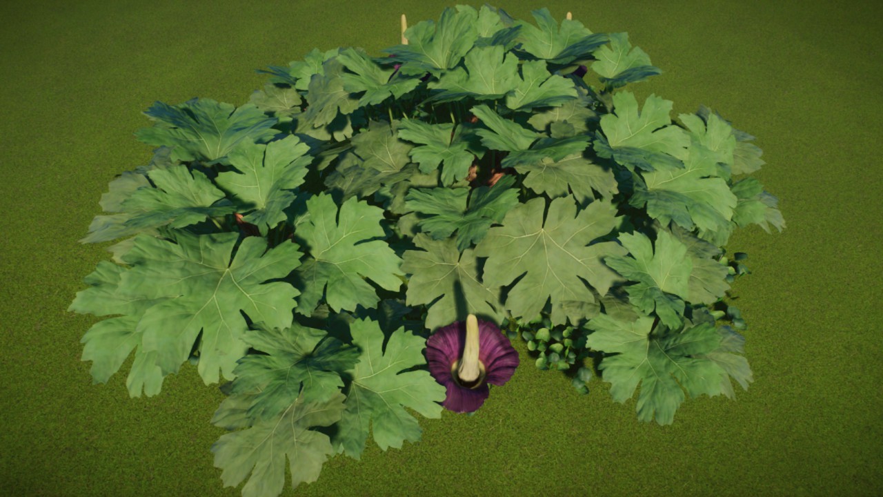 Large Coverage 01 - Jungle / Asia / Tropical