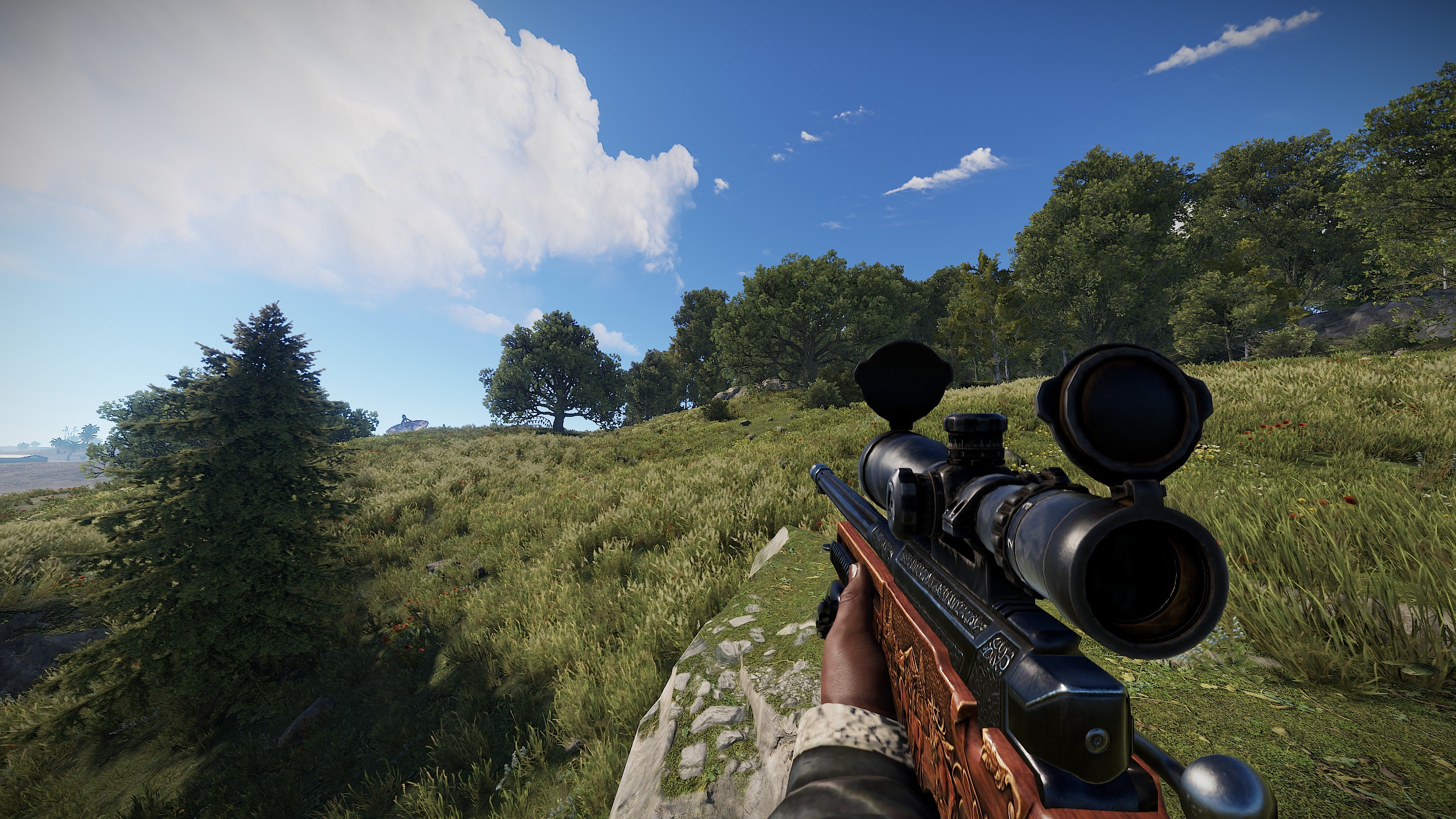 Hunting Rifle