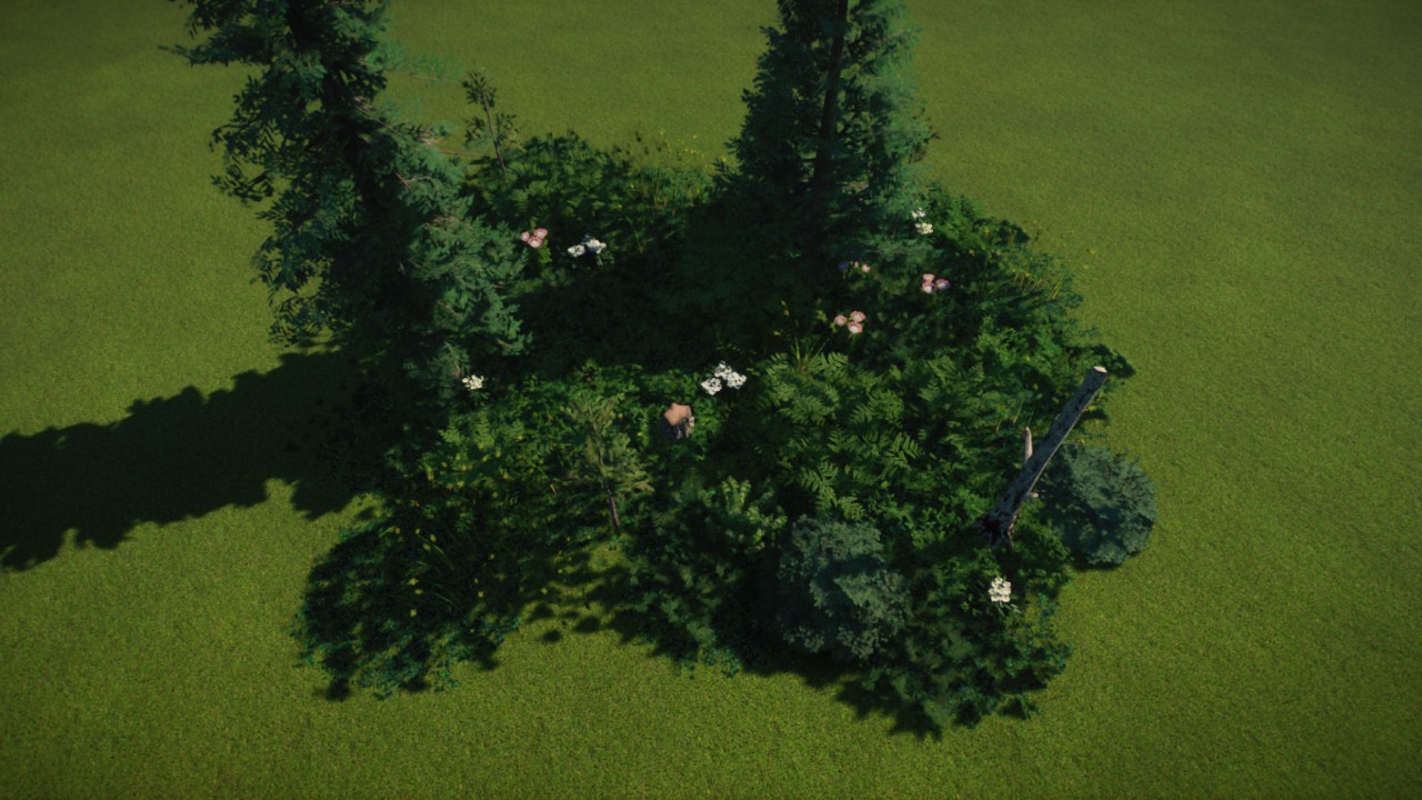 Large Grass Coverage 05 - Taiga / Boreal