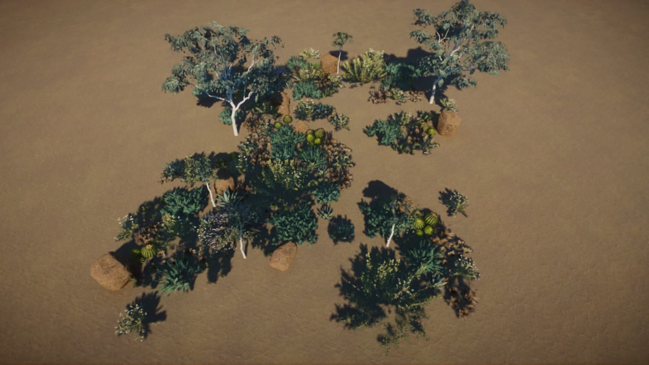 Large Coverage 06 - Temperate / Grassland / Australia