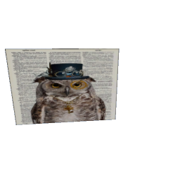 owl painting preview