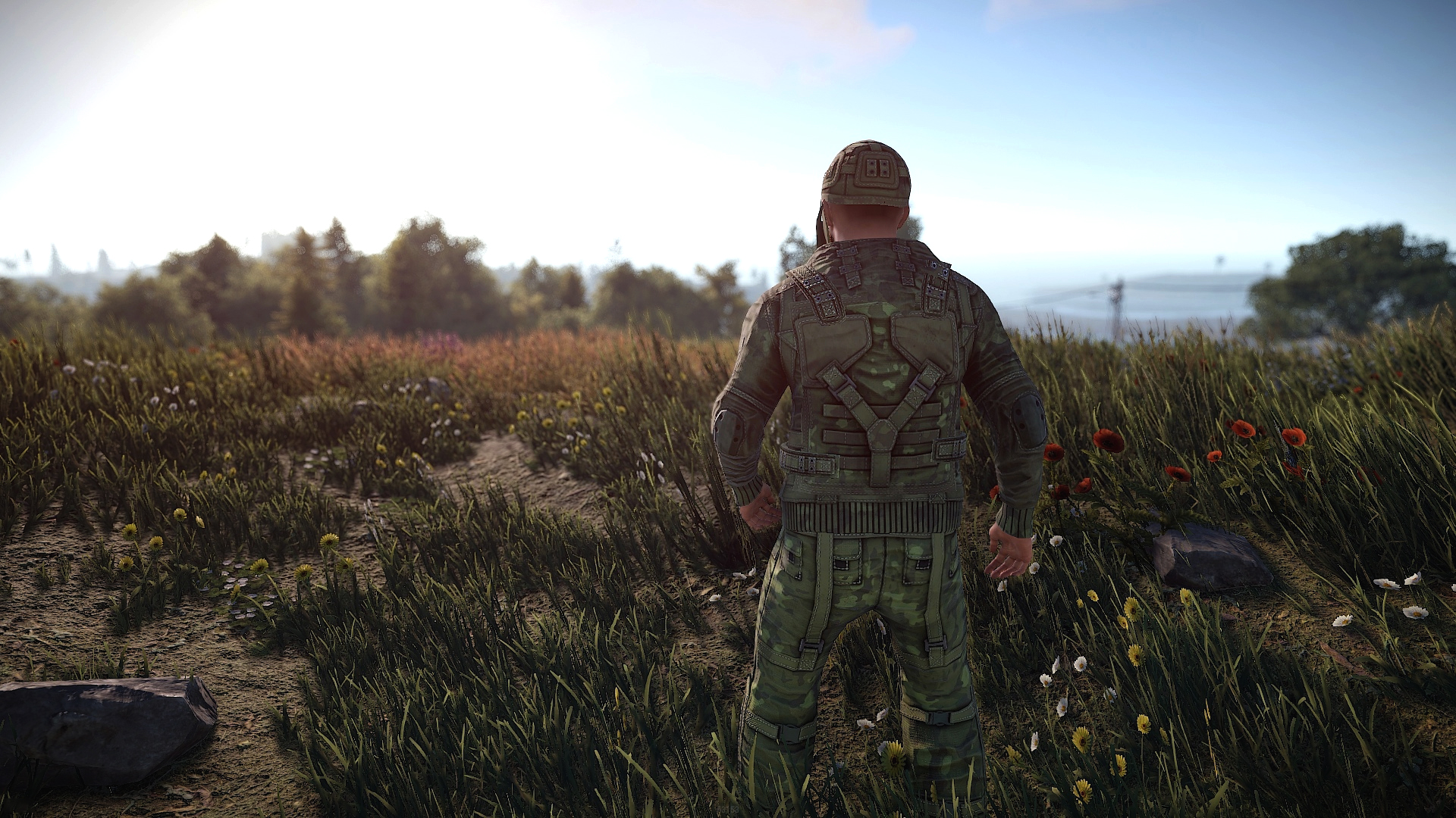 Forest Raiders Pants