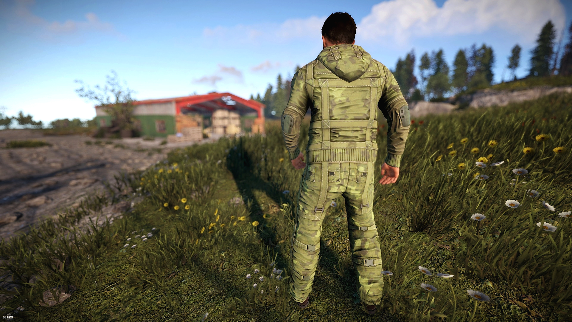Forest Raiders Hoodie