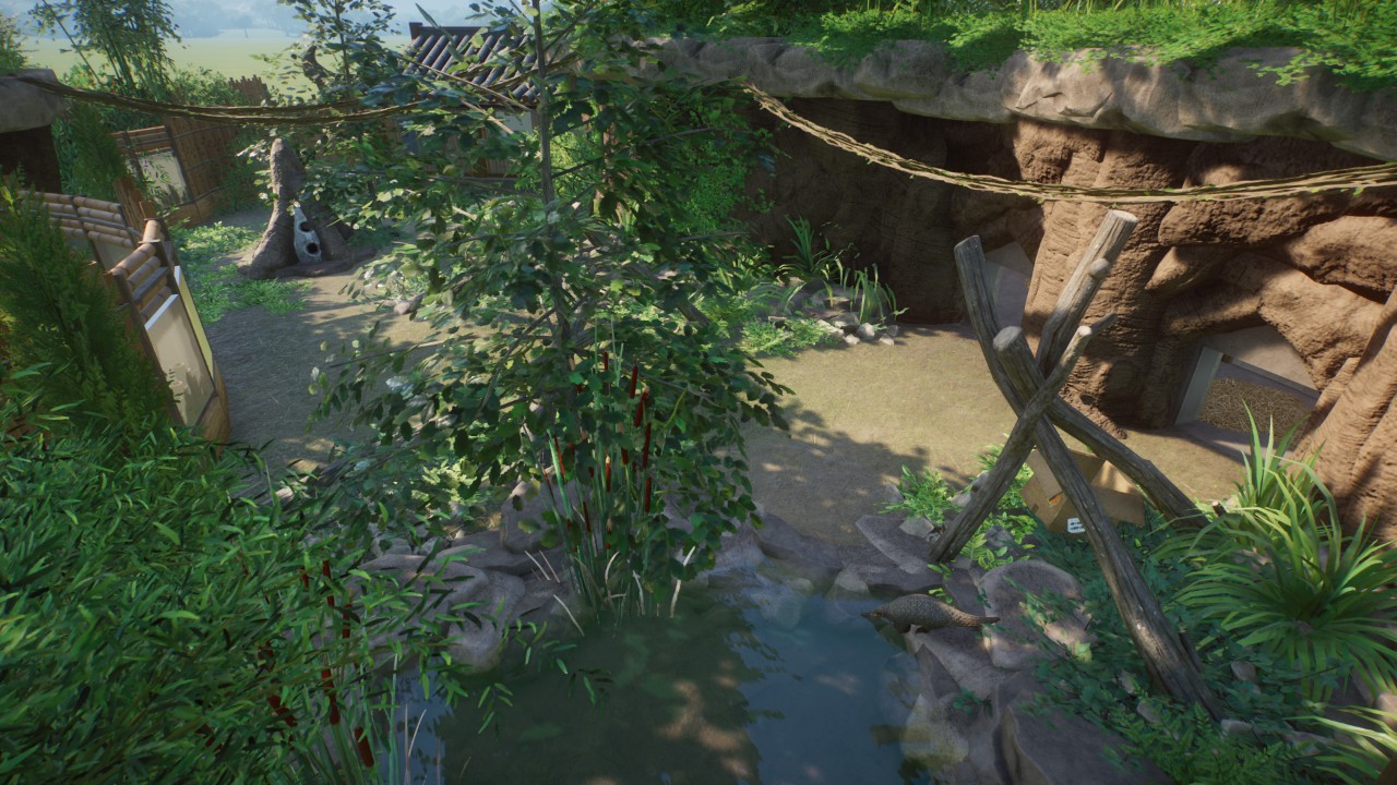 Chinese pangolin habitat