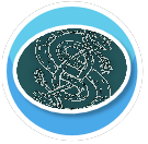 NZ Loki Norse Symbol