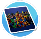 NZ Marvel Group Standard Rug