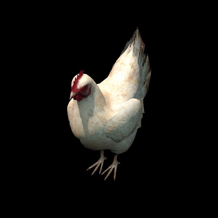 WhiteHen