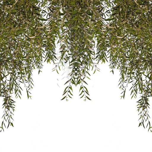 Wall | Hanging Vines