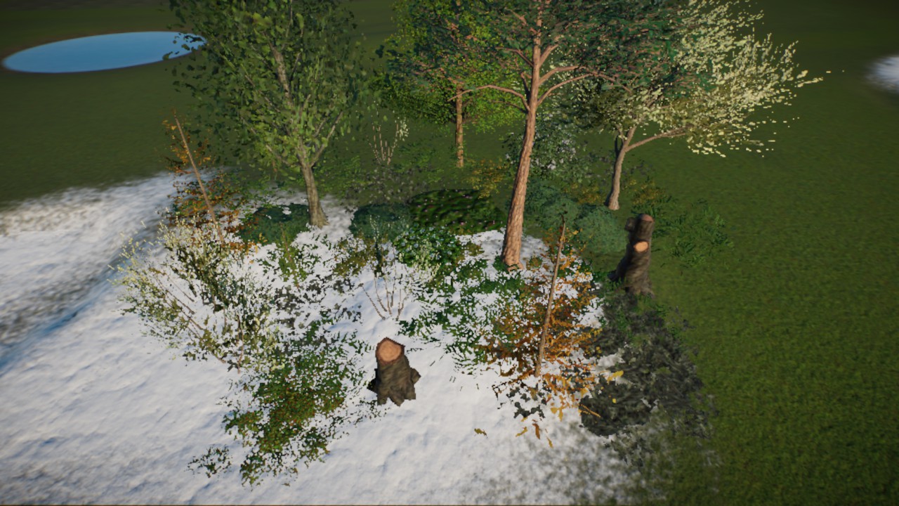 Asian Taiga Cluster V