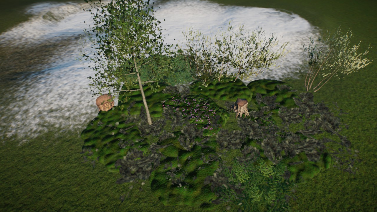 Asian Taiga Cluster VII
