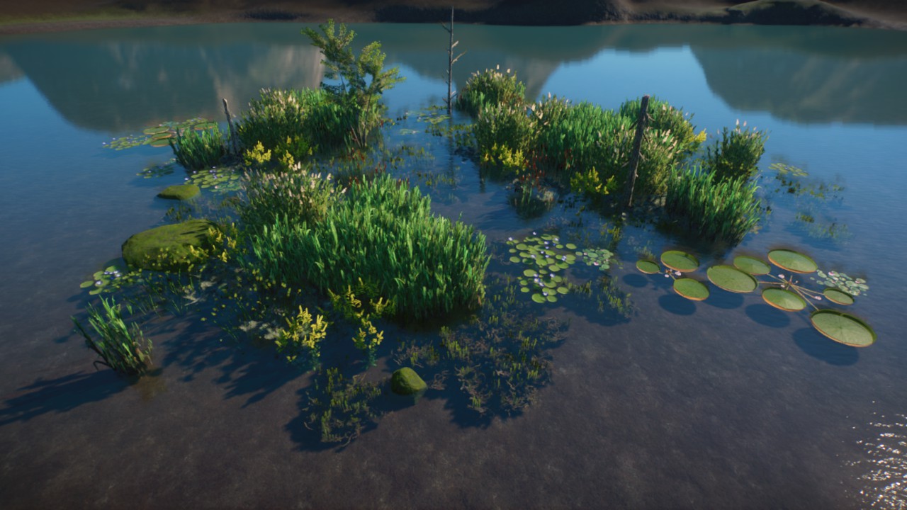 Large Coverage 10 - Temperate / Marshland / Wetland