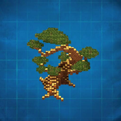 Bonsai Tree